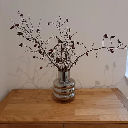 Linde Diersburg ホテル 3*